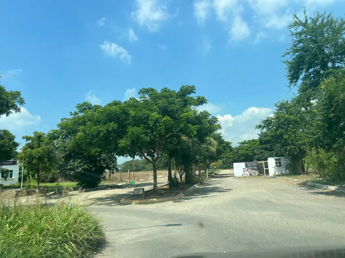 Calle con árboles en la zona de Lagunas Bari